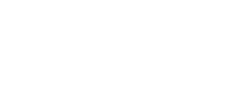 subtel